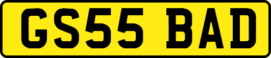 GS55BAD