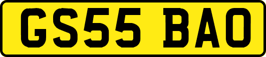 GS55BAO