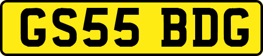 GS55BDG