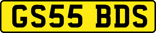 GS55BDS