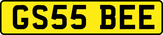 GS55BEE