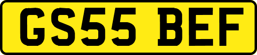GS55BEF