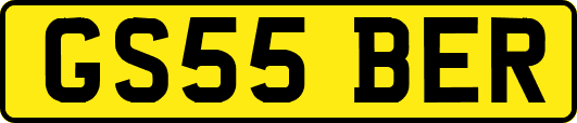 GS55BER