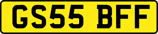 GS55BFF