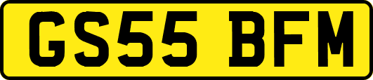 GS55BFM