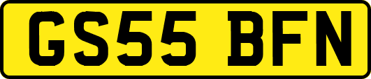 GS55BFN