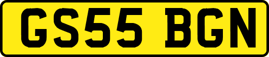 GS55BGN