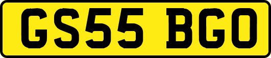 GS55BGO