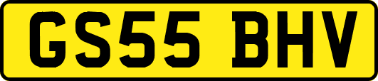 GS55BHV