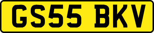 GS55BKV