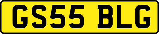 GS55BLG