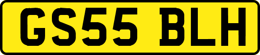 GS55BLH