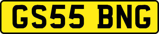 GS55BNG