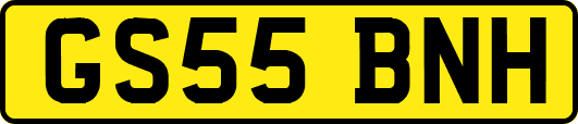 GS55BNH