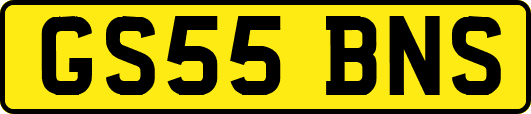 GS55BNS