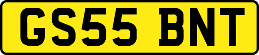 GS55BNT