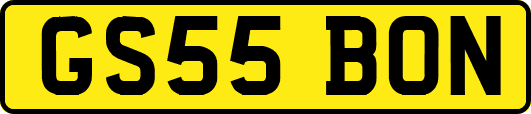GS55BON