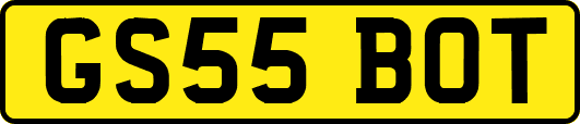 GS55BOT