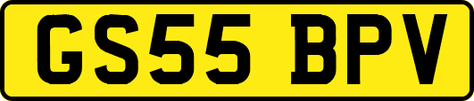 GS55BPV