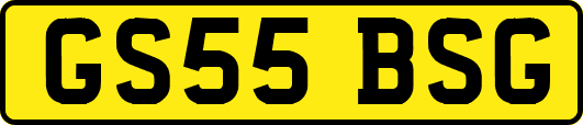 GS55BSG