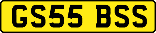 GS55BSS