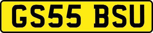 GS55BSU