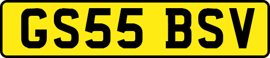 GS55BSV