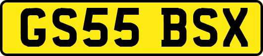 GS55BSX