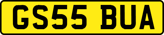 GS55BUA