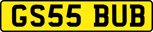 GS55BUB