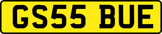 GS55BUE