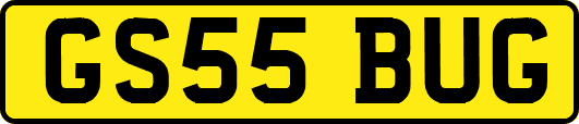 GS55BUG