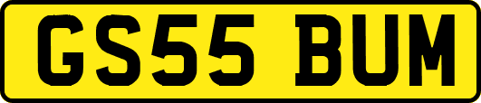 GS55BUM