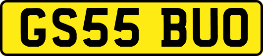 GS55BUO