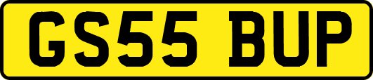 GS55BUP