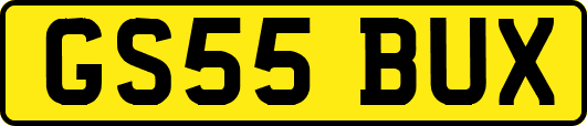 GS55BUX