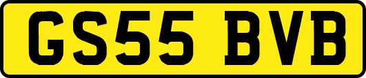 GS55BVB