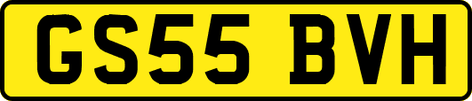 GS55BVH