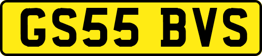 GS55BVS
