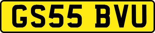 GS55BVU