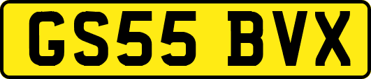 GS55BVX