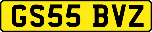 GS55BVZ