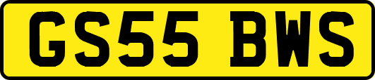 GS55BWS