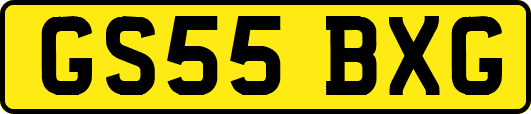 GS55BXG