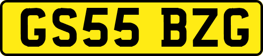 GS55BZG
