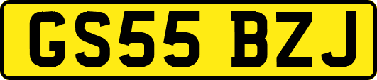 GS55BZJ