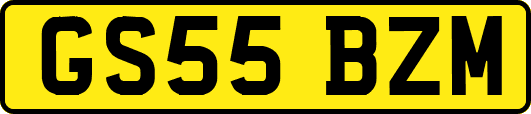 GS55BZM