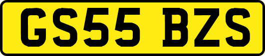 GS55BZS