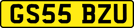 GS55BZU