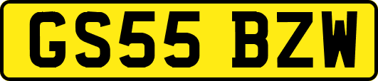 GS55BZW